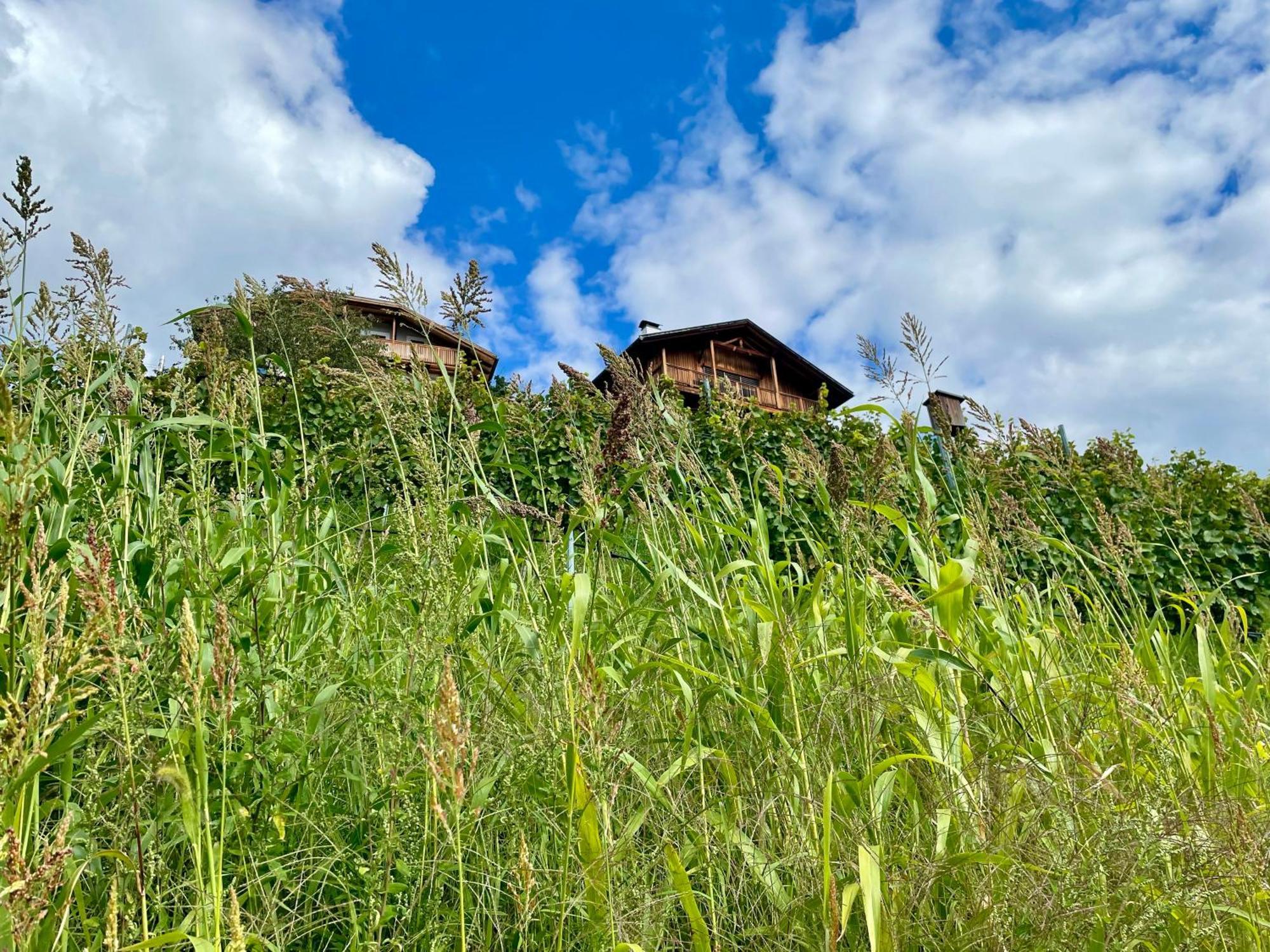 Maso Fallmerayer - Fallmerayerhof Bressanone Exterior photo